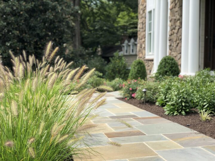 A stone path with plants on either side