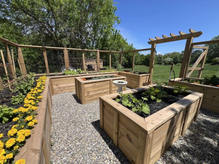 A gravel walkway surrounding two planters in a garden