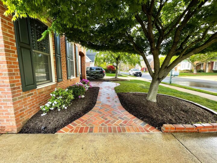 A brick walkway with dirt on either side and a large tree on the right side.